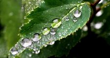 40 mm. el registro de lluvia en Vera