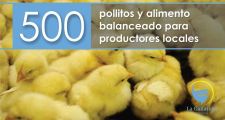 La  Gallareta: SE ENTREGARON 500 POLLITOS Y ALIMENTO BALANCEADO PARA PRODUCTORES LOCALES