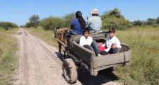 AMSAFE VERA SE MOVILIZA AL CONGRESO NACIONAL