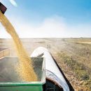 Lluvias beneficiosas para agro del norte