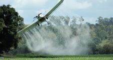 Agroquímicos: audiencia en el Senado y una caravana para “frenar esta locura”