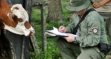 Romang: Secuestro de 20 animales por parte de La Guardia Rural 