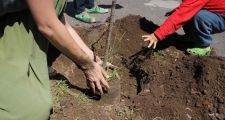 Partió desde Rosario la caravana de los pueblos fumigados