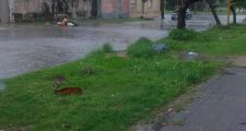 90 mm. el registro de lluvia en las últimas horas