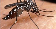 Confirman cuatro casos de dengue en la provincia de Santa Fe