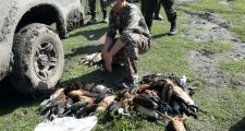 Secuestro de 200 patos por parte de la Guardia Rural Los Pumas