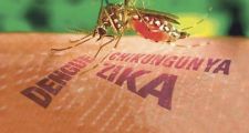 En Santa Fe detectaron 52 casos autóctonos de dengue
