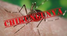 Confirmaron el primer caso pediátrico de chikungunya del país en Casilda