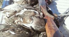 Cazadores y pescadores furtivos