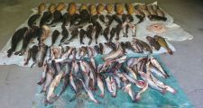 Cazadores y pescadores furtivos