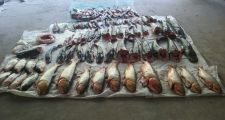 Cazadores y pescadores furtivos