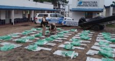 Secuestran cargamento de más de 700 kilos de marihuana