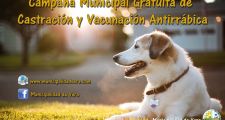 Comienza la 6ª Campaña Municipal de Vacunación Antirrábica y Castraciones