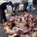 ROBO DE TRES VACUNOS Y FAENA DE UN TERNERO EN VILLA OCAMPO