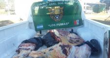 Depredación de la  fauna santafesina