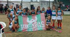 Liga Norteña de Hockey