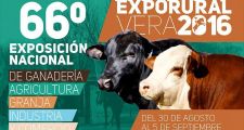 Programa para la 66ª edición de la Expo Vera