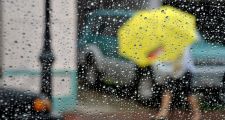 Registro de lluvia y pronóstico extendido.-