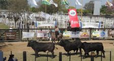 SIN FIESTA EN LA RURAL